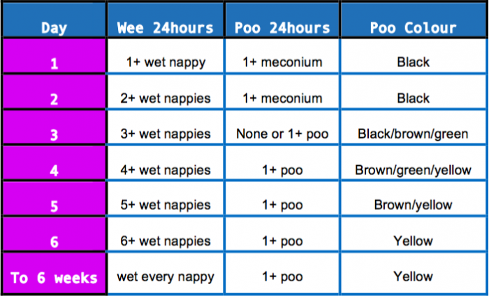 Poo and wee chart