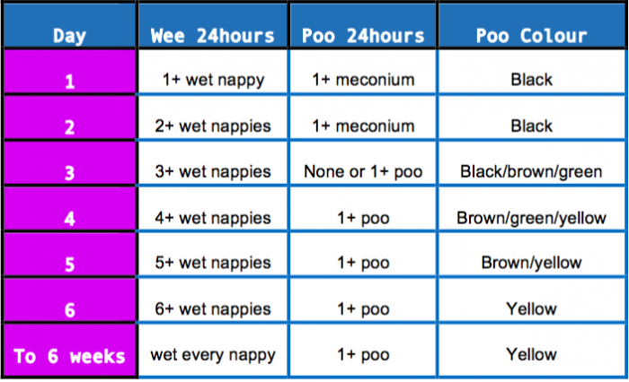 Nappy Chart